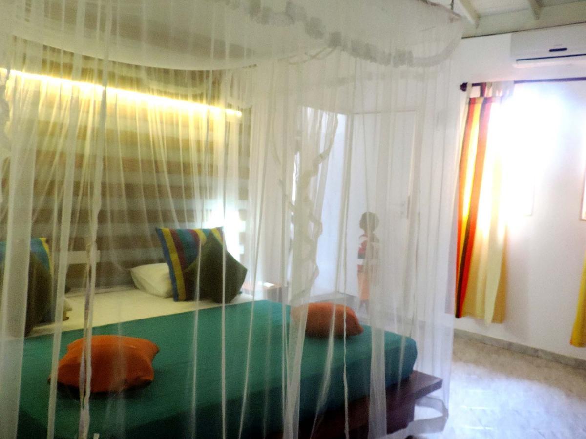 אונה ואטונה Primrose Guest House מראה חיצוני תמונה